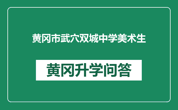 黄冈市武穴双城中学美术生