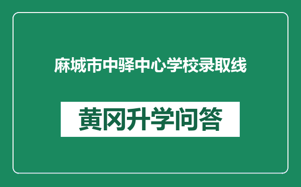 麻城市中驿中心学校录取线