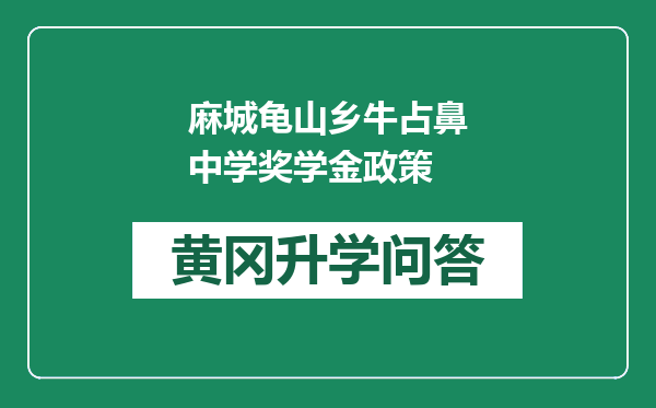 麻城龟山乡牛占鼻中学奖学金政策