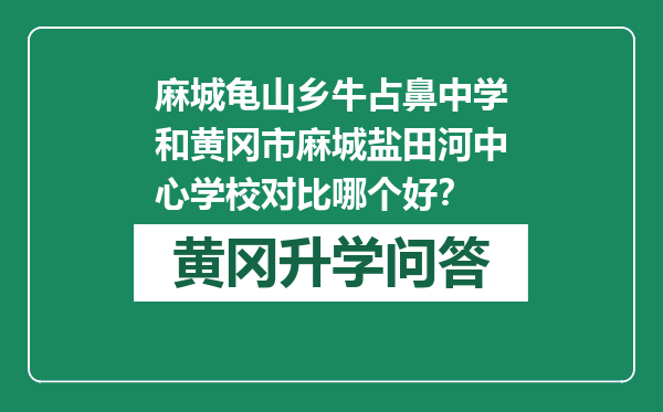 麻城龟山乡牛占鼻中学和黄冈市麻城盐田河中心学校对比哪个好？