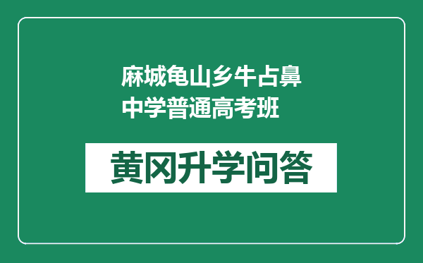 麻城龟山乡牛占鼻中学普通高考班