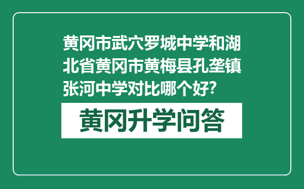 黄冈市武穴罗城中学和湖北省黄冈市黄梅县孔垄镇张河中学对比哪个好？