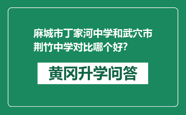 麻城市丁家河中学和武穴市荆竹中学对比哪个好？