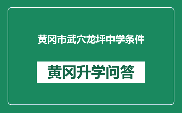 黄冈市武穴龙坪中学条件