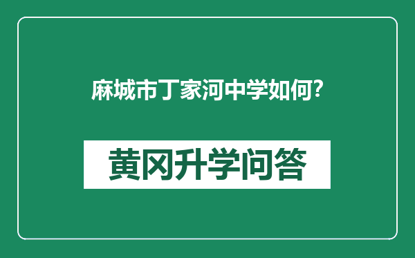 麻城市丁家河中学如何？