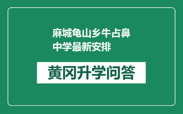 麻城龟山乡牛占鼻中学最新安排