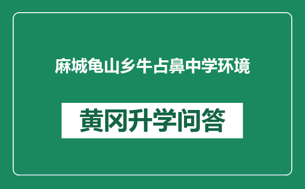 麻城龟山乡牛占鼻中学环境