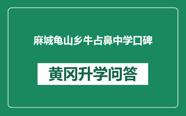 麻城龟山乡牛占鼻中学口碑