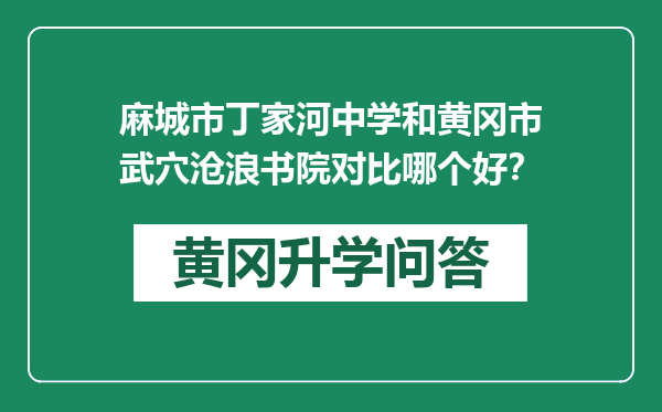 麻城市丁家河中学和黄冈市武穴沧浪书院对比哪个好？