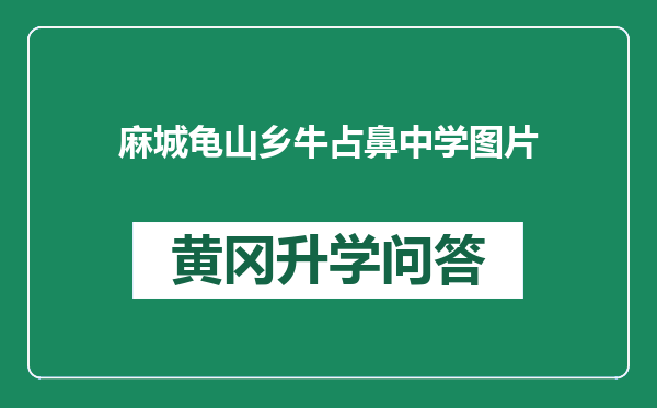 麻城龟山乡牛占鼻中学图片