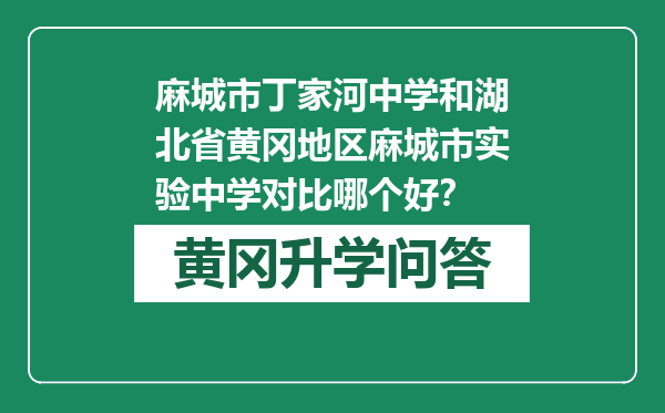 麻城市丁家河中学和湖北省黄冈地区麻城市实验中学对比哪个好？