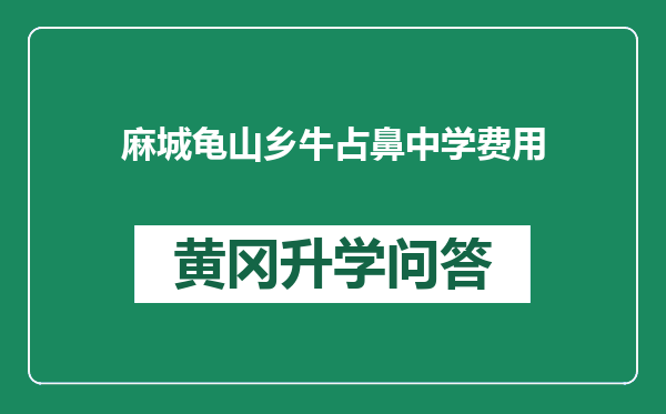 麻城龟山乡牛占鼻中学费用