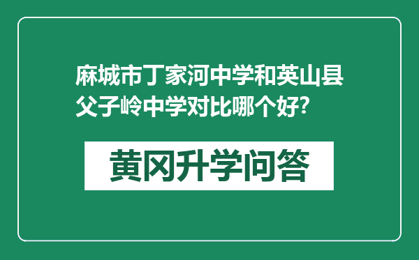 麻城市丁家河中学和英山县父子岭中学对比哪个好？