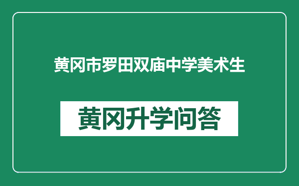 黄冈市罗田双庙中学美术生