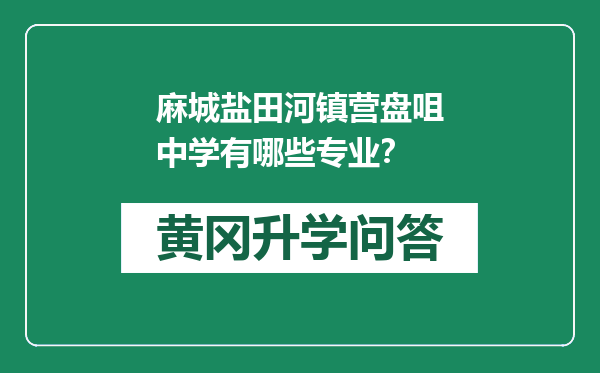 麻城盐田河镇营盘咀中学有哪些专业？