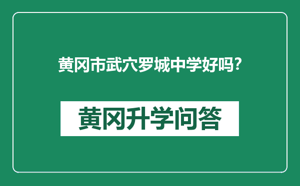 黄冈市武穴罗城中学好吗？