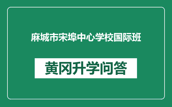 麻城市宋埠中心学校国际班