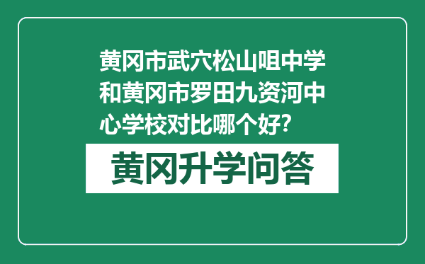 黄冈市武穴松山咀中学和黄冈市罗田九资河中心学校对比哪个好？