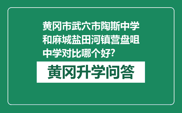 黄冈市武穴市陶斯中学和麻城盐田河镇营盘咀中学对比哪个好？