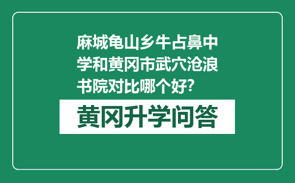 麻城龟山乡牛占鼻中学和黄冈市武穴沧浪书院对比哪个好？