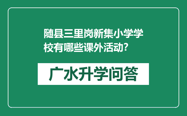 随县三里岗新集小学学校有哪些课外活动？