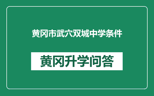 黄冈市武穴双城中学条件