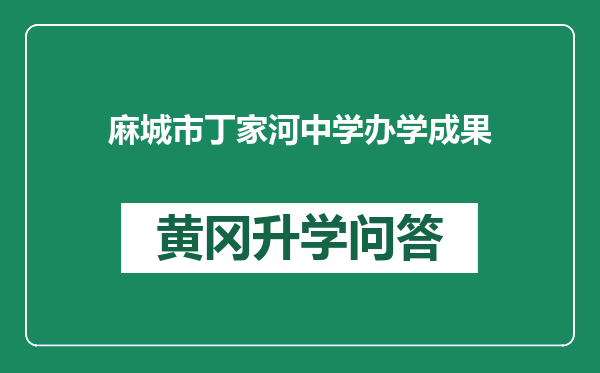 麻城市丁家河中学办学成果