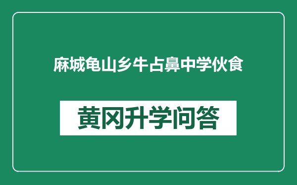 麻城龟山乡牛占鼻中学伙食