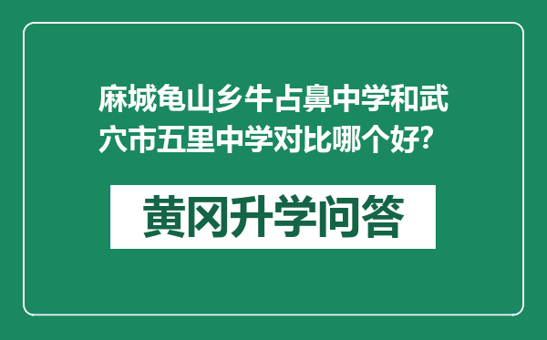 麻城龟山乡牛占鼻中学和武穴市五里中学对比哪个好？