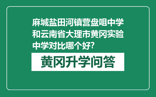 麻城盐田河镇营盘咀中学和云南省大理市黄冈实验中学对比哪个好？