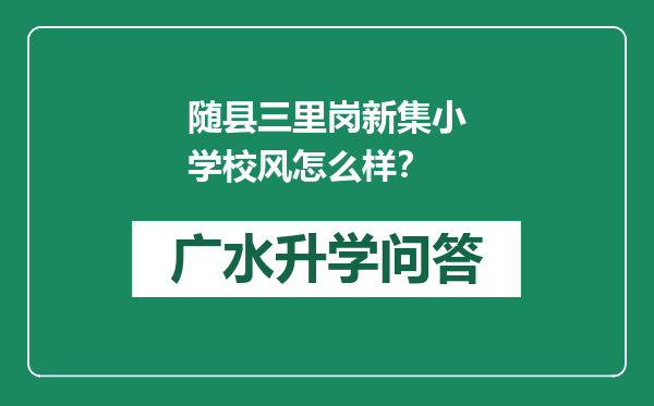 随县三里岗新集小学校风怎么样？