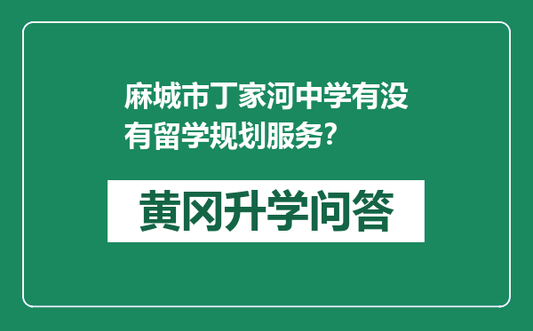 麻城市丁家河中学有没有留学规划服务？