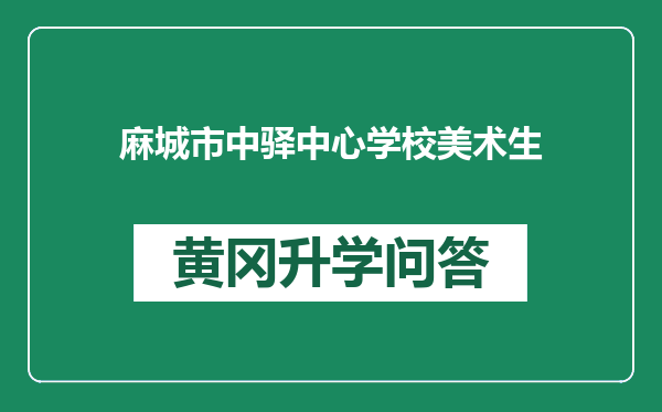 麻城市中驿中心学校美术生