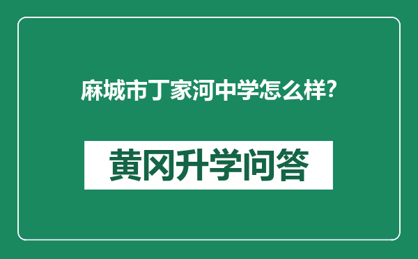 麻城市丁家河中学怎么样？