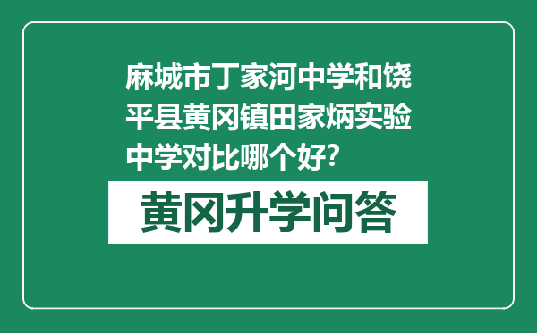 麻城市丁家河中学和饶平县黄冈镇田家炳实验中学对比哪个好？