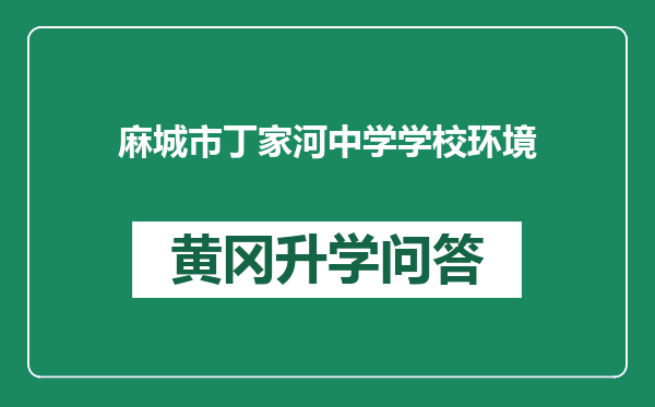 麻城市丁家河中学学校环境