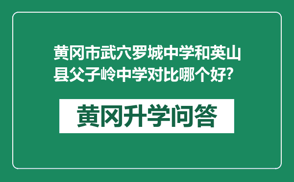 黄冈市武穴罗城中学和英山县父子岭中学对比哪个好？