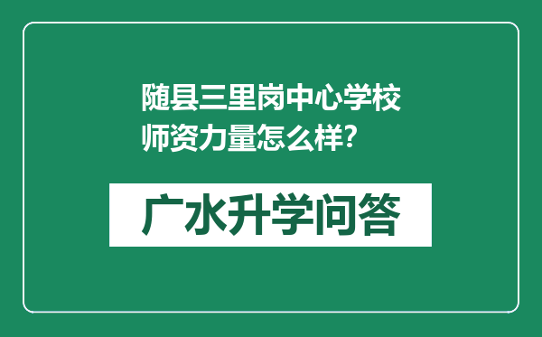 随县三里岗中心学校师资力量怎么样？