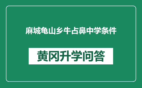 麻城龟山乡牛占鼻中学条件