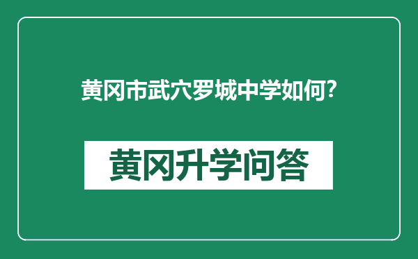 黄冈市武穴罗城中学如何？