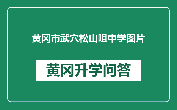 黄冈市武穴松山咀中学图片