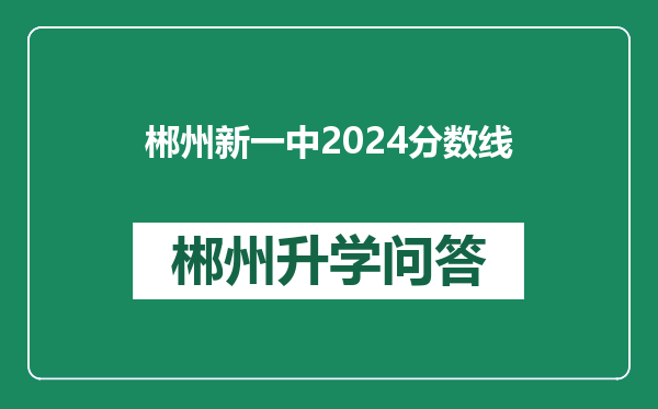 郴州新一中2024分数线