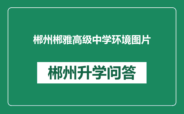 郴州郴雅高级中学环境图片