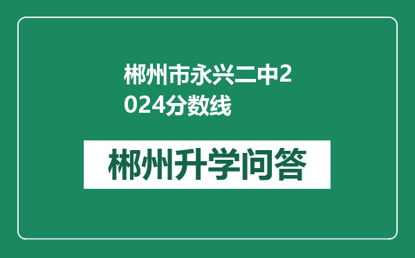 郴州市永兴二中2024分数线