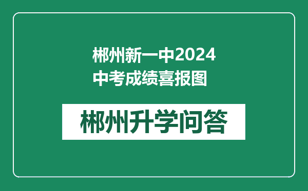 郴州新一中2024中考成绩喜报图