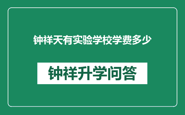 钟祥天有实验学校学费多少