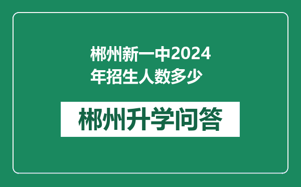 郴州新一中2024年招生人数多少