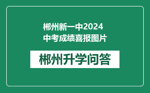 郴州新一中2024中考成绩喜报图片