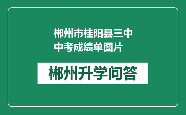 郴州市桂阳县三中中考成绩单图片