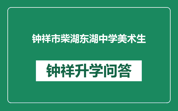 钟祥市柴湖东湖中学美术生